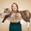 Møt katten Ludo – verdens lengste Maine Coon